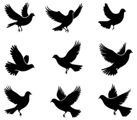 Silhouettes of Flying Birds in Graceful Wing Movements