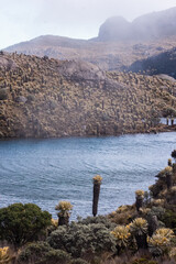 foto vertical laguna de páramo en la montaña 