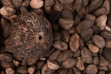 Brazil nuts capsule and nuts in shell in the background