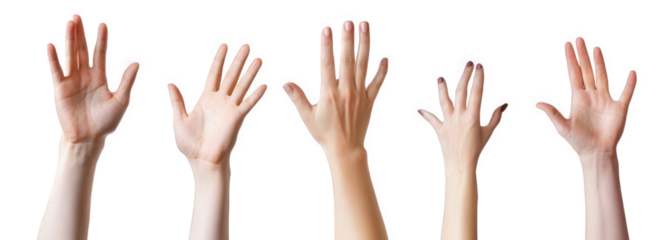 five hands raised in the air. palms facing forward on a transparent background