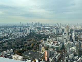 東京の高層ビルから見下ろした街の風景