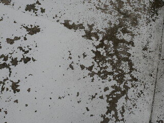 Walkway in Thailand , texture