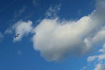 Beautiful heart shape cloud in blue sky, natural background