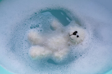 Soak the teddy bear in water soluble laundry detergent.