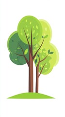 Fototapeta premium green tree with green leaves