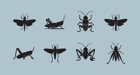 Illustration of the grasshopper insects on a colour background