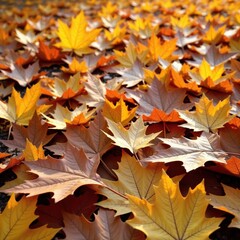 Fototapeta premium A layer of autumn oak leaves covers the ground in a thick, velvety texture, oak leaf blanket, nature photography