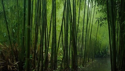 Fototapeta premium Bamboo grove in a batany park, green bamboo. Bamboo forest 302