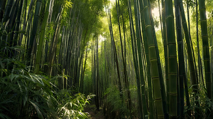 green bamboo forest
