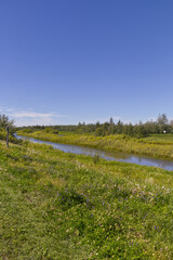 Pylypow Wetlands in the Summer