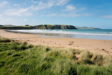 Jack's Bay Landscape on a Sunny Day, Beautiful Coastal Scenery