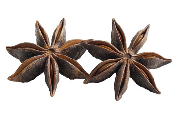 Two star shaped spices are shown on a white background