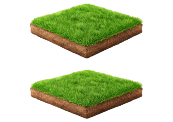 land ground or earth soil land and green grass section isolated on transparent or white background