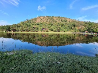 Beautiful nature, meadows, streams, cute wildlife.