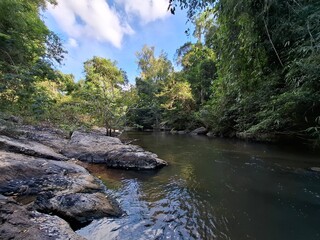 Beautiful nature, meadows, streams, cute wildlife.