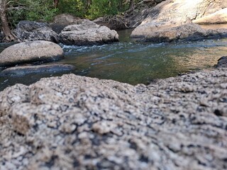 Beautiful nature, meadows, streams, cute wildlife.