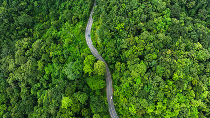 Road rainforest ecosystem and healthy environment concept , Road in the middle of the forest Concept