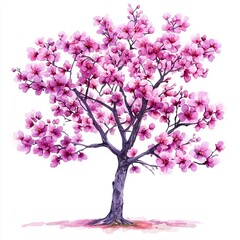 Obraz premium A beautiful pink flowering tree showcasing vibrant blossoms in full bloom.
