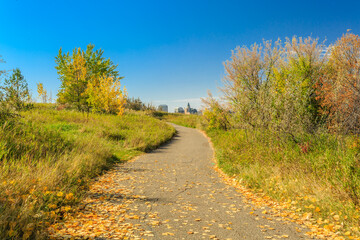 A path in a park with trees and leaves on the ground