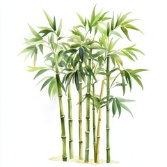Fototapeta premium Lush green bamboo stems create a serene and calming nature scene.