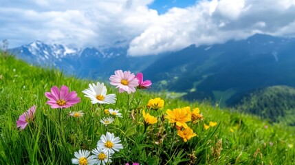 A vibrant meadow filled with colorful flowers against a backdrop of mountains and a blue sky.