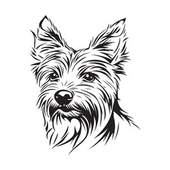 Australian Silky Terrier Dog Head Vectors and Illustrations isolated on white background.