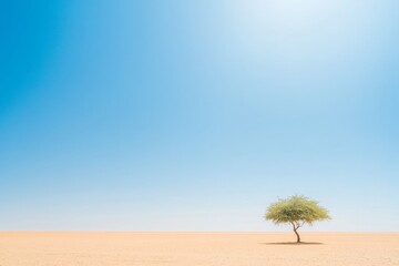 Solitary Tree in Vast Desert Under Blazing Sun Climate Impact and Seasonal Extremes