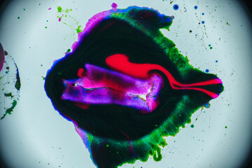 Organic forms in colorful fluid dynamics