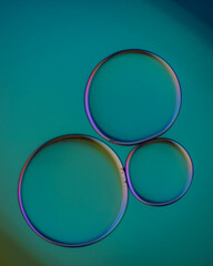 Circular abstract shapes with gradient colors on teal
