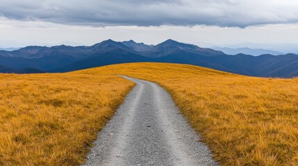Fototapeta premium Serene Gravel Path Through Golden Grassy Landscape with Mountains