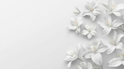 white flower on white background	
