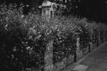 a garden wall along the street