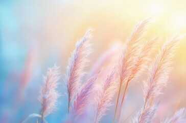 Soft and Dreamy Scene of Delicate Pampas Grass Bathed in Warm Light, Creating a Tranquil Nature Background for Peaceful and Serene Atmospheres