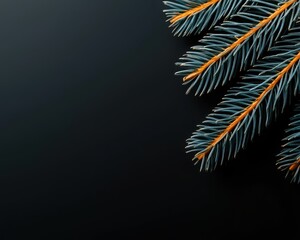 Close-up of evergreen pine branches against a dark background, highlighting natural beauty.