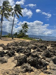 Hawaii Oahu Haleiwa beach 
