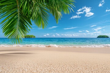 Tropical Beach Paradise  Palm Tree  Ocean  Sand  Island