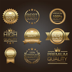 This premium quality vector art design features a certified emblem icon, showcasing a sleek, modern aesthetic. It symbolizes trust and excellence, ideal for brands emphasizing quality assurance.
