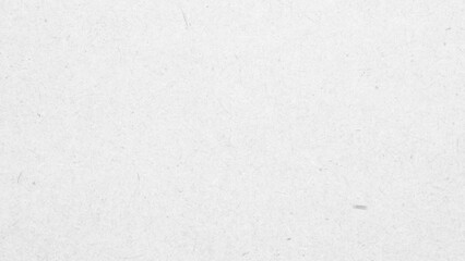 White recycle paper cardboard surface texture background