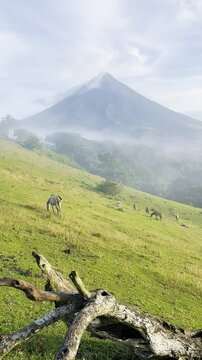 Mayon Volcano video clips with a beautiful sky and clouds with horse in Quituinan Ranch Camalig Legazpi City Albay Philippines