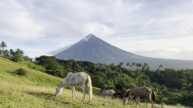 Mayon Volcano video clips with a beautiful sky and clouds with horse in Quituinan Ranch Camalig Legazpi City Albay Philippines