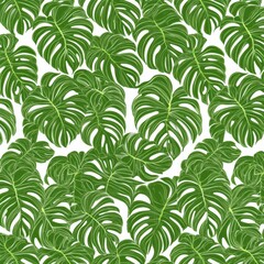 Fototapeta premium Lush Green Monstera Leaves Seamless Pattern - Tropical White Background