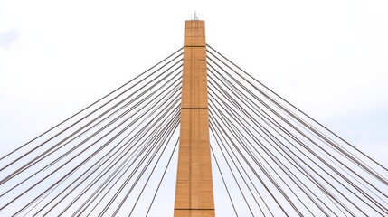 Obraz premium A tall, beige cable-stayed bridge tower with multiple cables extending outward against a cloudy sky.