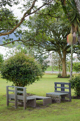 Obraz premium Quiet garden with recycled plastic benches