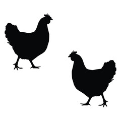 Chicken Silhouette, Chicken Vector Silhouette, Chicken cartoon Silhouette, Chicken illustration, Chicken icon Silhouette, Chicken Silhouette illustration