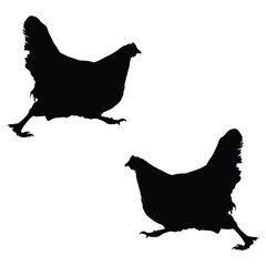 Chicken Silhouette, Chicken Vector Silhouette, Chicken cartoon Silhouette, Chicken illustration, Chicken icon Silhouette, Chicken Silhouette illustration