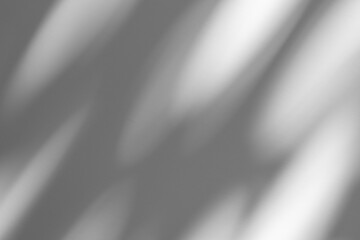 Wall interior background, studio and backdrops show products.with shadow from window color white...