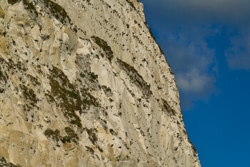 white cliffs of Dover along the coastline of Kent in England.