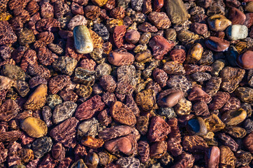 close up of rocks at Lake Mcdonald