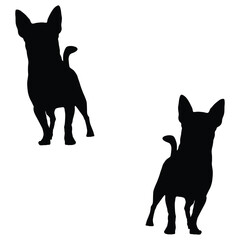 Chihuahua Silhouette, Chihuahua Vector Silhouette, Chihuahua cartoon Silhouette, Chihuahua illustration, Chihuahua icon Silhouette, Chihuahua Silhouette illustration
