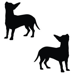 Chihuahua Silhouette, Chihuahua Vector Silhouette, Chihuahua cartoon Silhouette, Chihuahua illustration, Chihuahua icon Silhouette, Chihuahua Silhouette illustration
